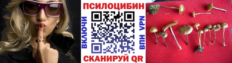 Галлюциногенные грибы Psilocybine cubensis  Сольцы 