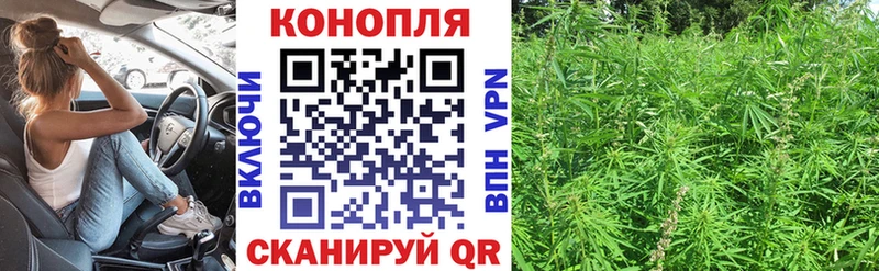 Каннабис планчик Сольцы